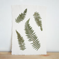 Fern - A3 - £120-Edit