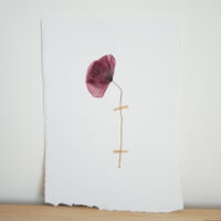 Poppy II - A4 - £90