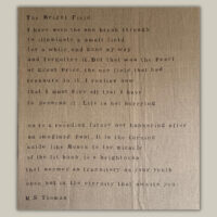 Poem on linen, the bright field-2