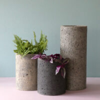concrete cylinder pots with plants