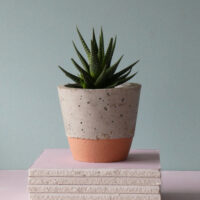 concrete pot bottom colour copper blush