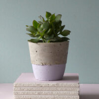concrete pot bottom colour lavender