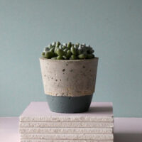 concrete pot bottom colour livid