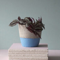 concrete pot bottom colour nordic sky