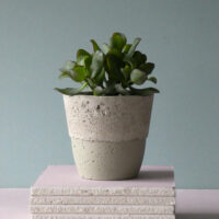 concrete pot bottom colour overtly olive