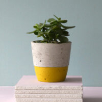 concrete pot bottom colour saffron