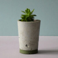 small concrete pot olive green stripe