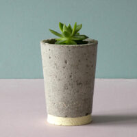 small concrete pot primrose stripe