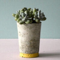 small concrete pot yellow stripe