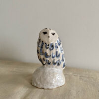 Owl on a Rock 1 Charlotte Salt