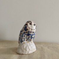 Owl on a Rock 2a Charlotte Salt