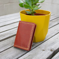 wallet on plant