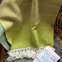 Fruitbat - Graduating Green Diamonds Shawl 1 - Frutibat Textiles