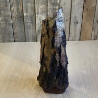 IMG_4018 Mark Beverton