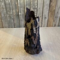 IMG_4019 Mark Beverton