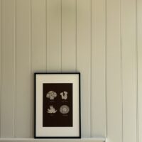 Mushrooms - Artwork - A4 Size - £70_1