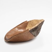 Suberin Burl - Extra