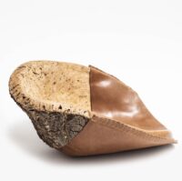 Suberin Burl Jessie White